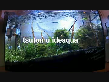 ６０cmスリム水槽
