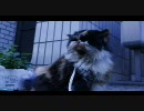 ぶにゃんきー物語