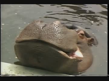 東武動物公園ビデオ