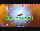 初心者にやさしいディアブロ3実況【ネクロマンサー】#12
