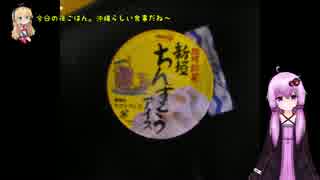 愛車で憧れの沖縄へ⑥　夏休みツー6日目【VOICEROID車載】