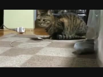 猫配信で女性リスナーを釣ろうとする自称職人（派遣社員）2017年4月30日