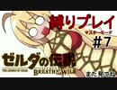 【ゼルダの伝説BotW】縛りプレイでこの先生きのこるには　７話