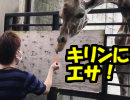 【旅行】キリンのエサあげではしゃぐ大人たち。栃木旅行を楽しむわ01