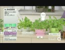 QVC福島 - 初めてでもスクスク育つ！飾れて食せる栽培セット