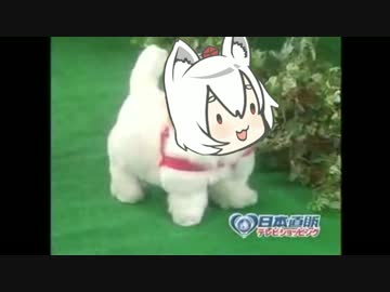 使われなかったmiji顔BB