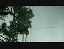 【オリジナル】　Alcatrazz?九条通りにアベカイケンDemoAZ02 / Metaleaman 20170904
