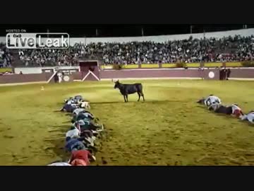 闘牛の攻撃をかわす方法