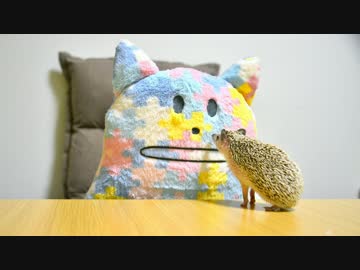 ハリ活.vol 12 ~今日も元気いっぱい♪~