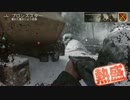 【COD:WWⅡ】琴葉姉妹の過去戦場