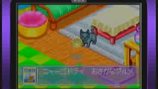 人気の かわいい子猫 動画 19本 ニコニコ動画