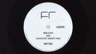 LINK (FANTASTIC REMEDY MIX)