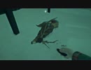 【実況】なかなかシビアなサバイバルゲーム The Long Dark【単発】