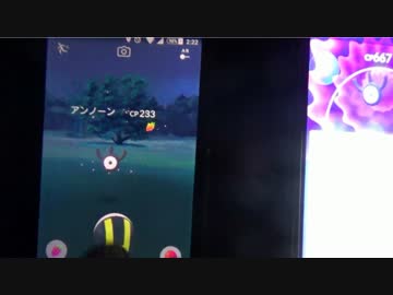 深夜に出没！？激レアのアンノーンにダッシュ！