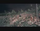 SL１カンスト化身 ノーダメ