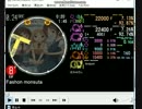 [simai]ファッ＊ョンモンスター　EXPERT
