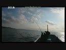 2017 0909 真鯛62.5cm 2.9kg　釣りあげる！