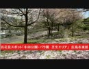 お花見スポット　「牛田公園・バラ園　芝生エリア」　広島県広島市東区