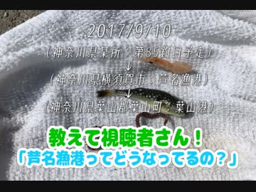 釣り動画ロマンを求めて 番外編(芦名漁港ってどうなってるの？）