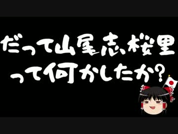 【ゆっくり保守】文春機関砲と味方に攻撃される山尾志桜里