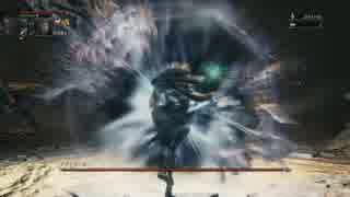 【Bloodborne】地底人と聖杯探訪2【聖杯ボス戦】