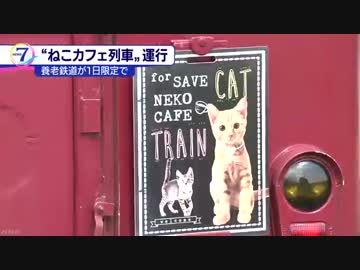 「ねこカフェ列車」が運行 養老鉄道
