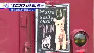 「ねこカフェ列車」が運行 養老鉄道