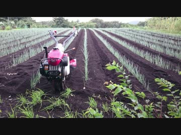 ひよっこ オタク農家　管理機買う