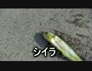 クルマで釣りに行こう♪ part 68 【館山で青物】