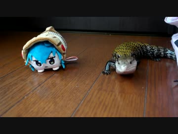 ツチノコ×ツチノコ