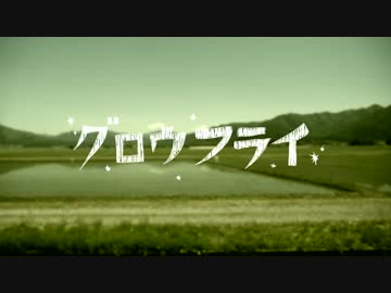 グロウフライ 歌ってみた【きぢ】