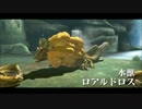 【MHXX：NS】ほぼ矢切りの討伐記録（村下位）。その 12【プレイ動画】