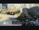 bo2  セレリウムストリーク記念