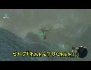きりたんが行くゼルダの伝説BotW 05