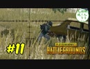 【#11】隣人を信じない人達のPUBG 【PUBG】