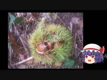 ゆっくり農民64九月を愛でてみませんか？