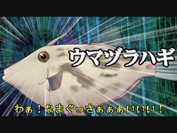 マキ誕生祭２０１７　入院編
