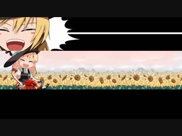 正々堂々と勝負するSZ姉貴.jokerkill