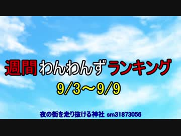 週間わんわんずランキング　9/3～9/9