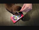 カワウソと魚釣りゲームしてみた
