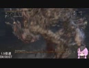 ブラッドボーン トロコンTA 3周チャート IGT5:10:43_part9