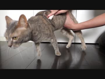 【モアクリ】 いろいろモアクリ 5