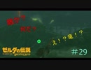 【ゼルダの伝説BW】竜現る！プチパニック＃29【ボソボソプレイ 】