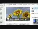 今週の牛鍋 その433