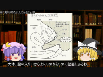 【処女膜・膣】ゆっくり魔理沙と学ぶ夜の生物学４【ゆっくり解説】