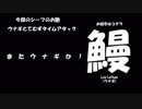 【FF11】シーフでウナギのタイムアタックを更新しよう！【とてむず】