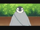 しろくまカフェ　第19話　ペンギンにも色々あるよ/バイセンってナンダ!?