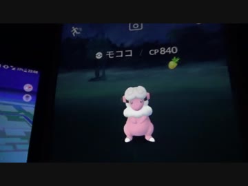 深夜のポケ活でモココと遭遇したよ