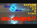 実況とはよべないゲームプレイ【のんびり冒険 ゼルダの伝説BotW】63