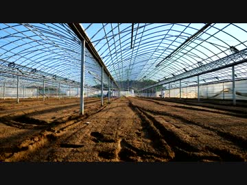 きゅうり栽培実況動画vol.1　始まりました。いや始めてみました。